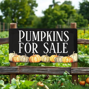 Pumpkins For Sale Advert Banner