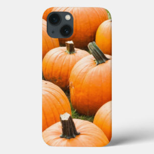 Pumpkins for Sale at a Farmer's Market iPhone 13 Case