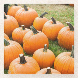 Pumpkins for Sale at a Farmer's Market Glass Coaster