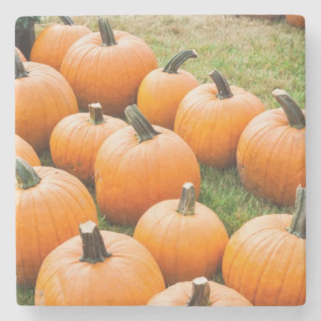 Pumpkins for Sale at a Farmer's Market Stone Coaster (Front)