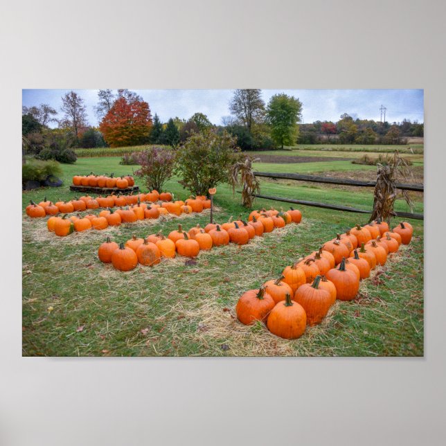 Pumpkins for Sale, New York Farm Poster (Front)