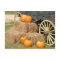Pumpkins for Sale