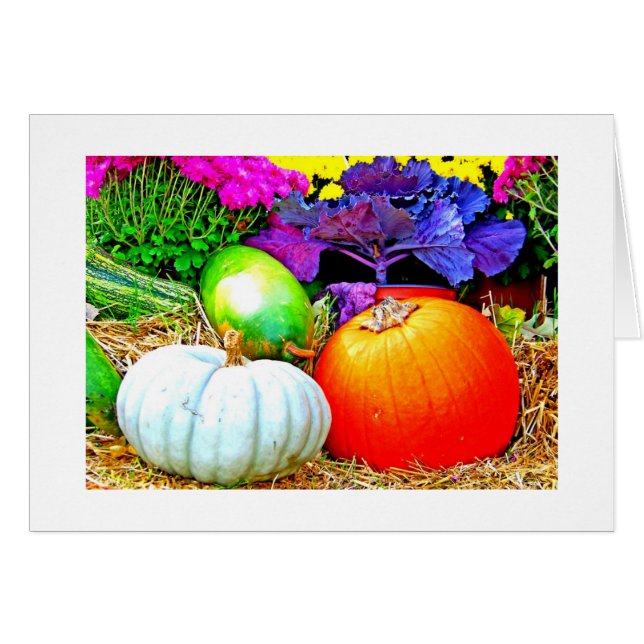 Pumpkins, Gourds, And Flowers (Front Horizontal)
