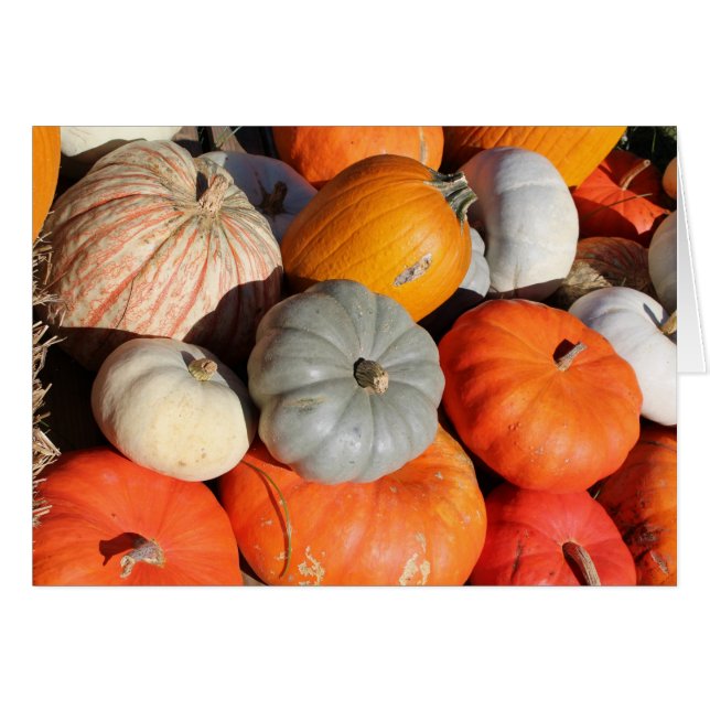 Pumpkins Greeting Card (Front Horizontal)