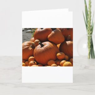pumpkins holiday card