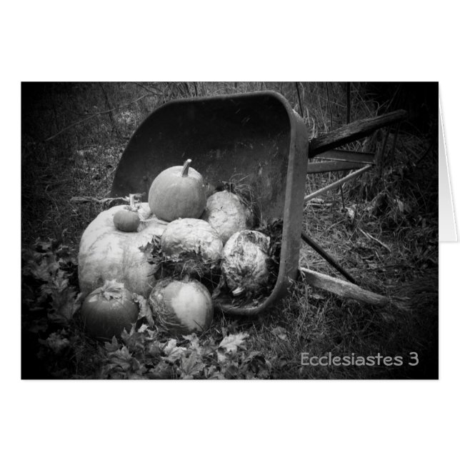 Pumpkins in a barrow (Front Horizontal)