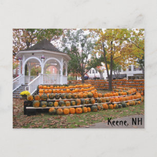 Pumpkins in Keene, NH Postcard