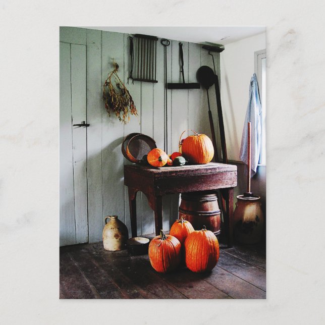 Pumpkins in Kitchen Postcard (Front)