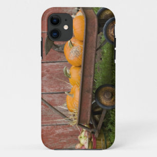 Pumpkins in old wagon iPhone 11 case