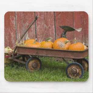 Pumpkins in old wagon mouse pad