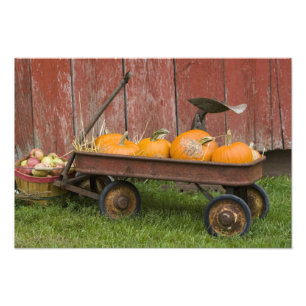 Pumpkins in old wagon photo print