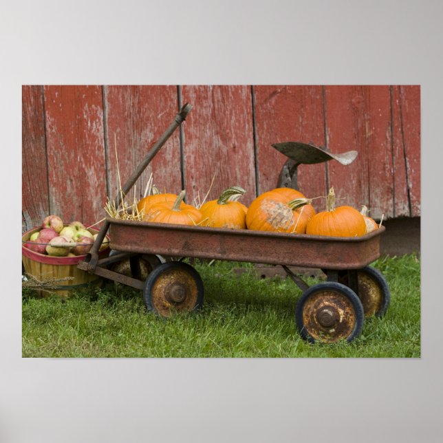 Pumpkins in old wagon poster (Front)