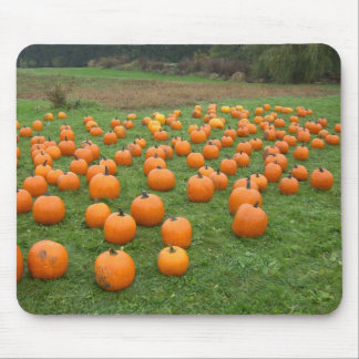 Pumpkins in the field mouse pad