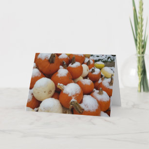 Pumpkins in the snow greeting card