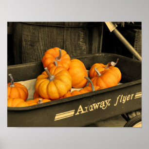 Pumpkins In Wagon Sepia Partial Colour Poster