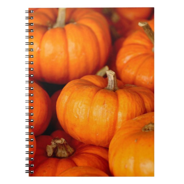 Pumpkins Notebook (Front)