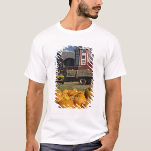 Pumpkins on farm in autumn near Concord, 2 T-Shirt
