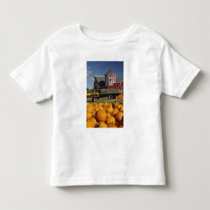 Pumpkins on farm in autumn near Concord, 2 Toddler T-Shirt
