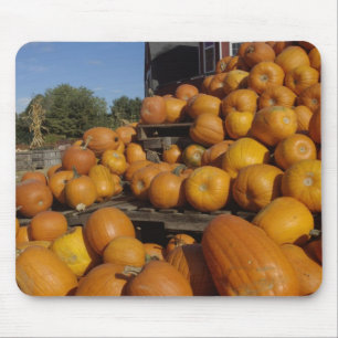 Pumpkins on farm in autumn near Concord, Mouse Pad