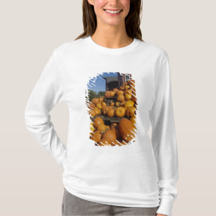 Pumpkins on farm in autumn near Concord, T-Shirt