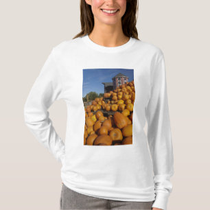 Pumpkins on farm in autumn near Concord, T-Shirt
