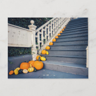 Pumpkins on Staircase Postcard