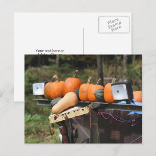 Pumpkins On Truck Country Personalised Postcard