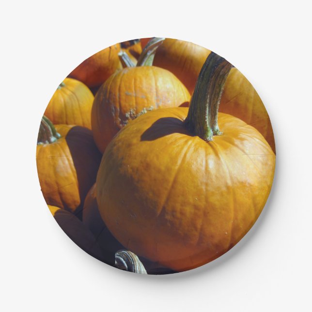 Pumpkins Paper Plates - 7 inches (Front)