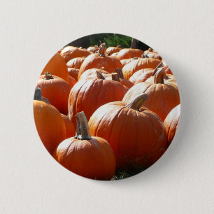 Pumpkins Photo for Fall, Halloween or Thanksgiving 6 Cm Round Badge