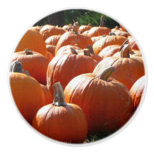 Pumpkins Photo for Fall, Halloween or Thanksgiving Ceramic Knob