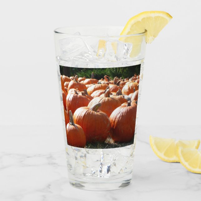 Pumpkins Photo for Fall, Halloween or Thanksgiving Glass (Back Ice)