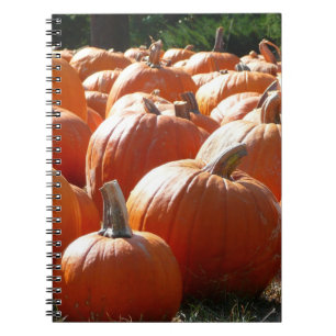 Pumpkins Photo for Fall, Halloween or Thanksgiving Notebook