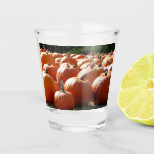 Pumpkins Photo for Fall, Halloween or Thanksgiving Shot Glass