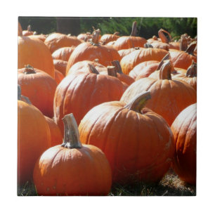 Pumpkins Photo for Fall, Halloween or Thanksgiving Tile