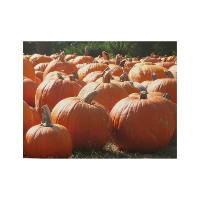 Pumpkins Photo for Fall, Halloween or Thanksgiving Wood Poster (Front)