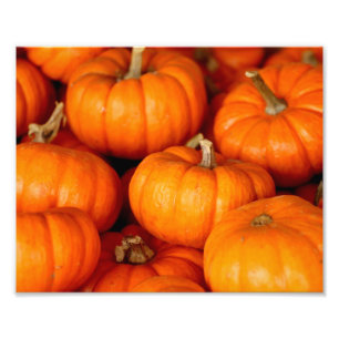 Pumpkins Photo Print