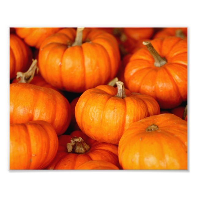 Pumpkins Photo Print (Front)