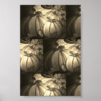 Pumpkins Poster