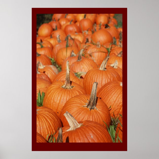 PUMPKINS! POSTER (Front)