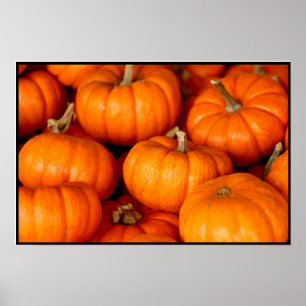 Pumpkins Poster