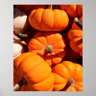 Pumpkins Poster