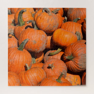 Pumpkins, Pumpkins, Pumpkins - 20x20 - 676 pcs. Jigsaw Puzzle