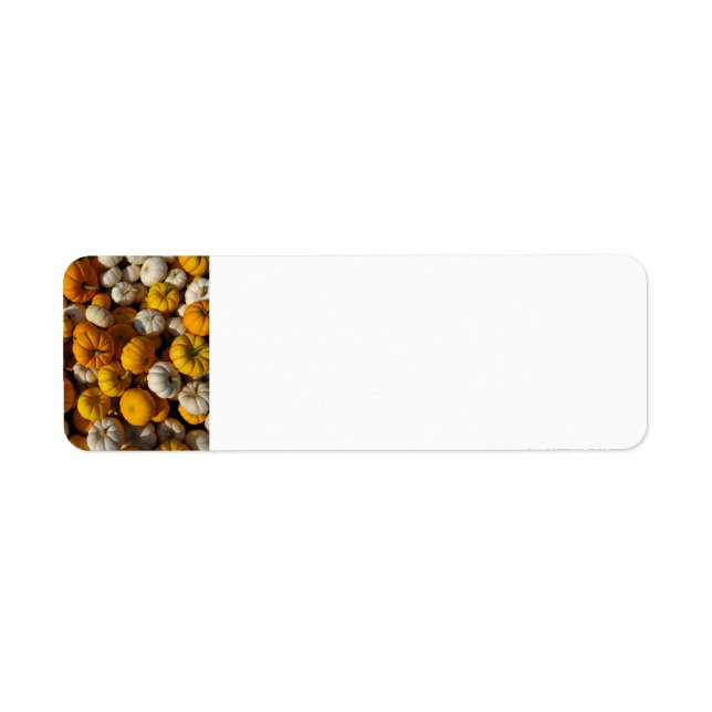 Pumpkins Return Address Label (Front)
