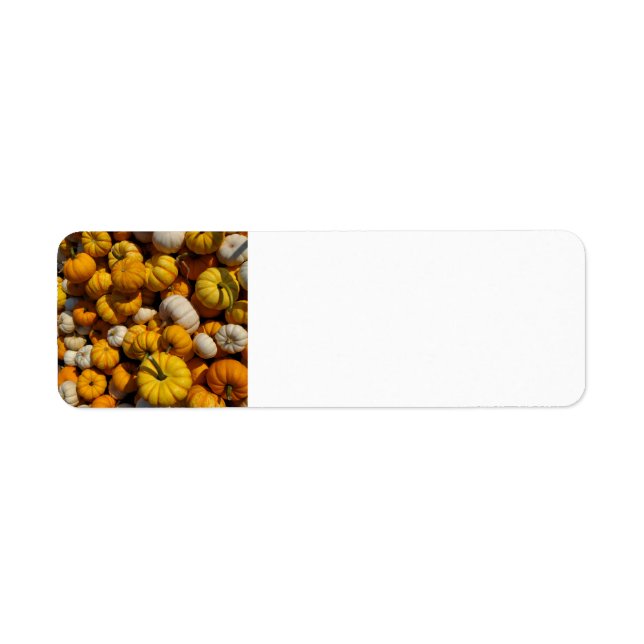 Pumpkins  return address label (Front)