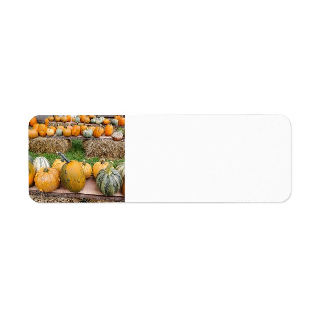 Pumpkins Return Address Label (Front)