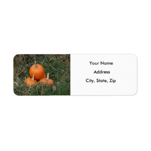 Pumpkins Return Address Label