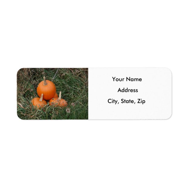Pumpkins Return Address Label (Front)