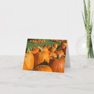 Pumpkins Roca Berry Farm card 4