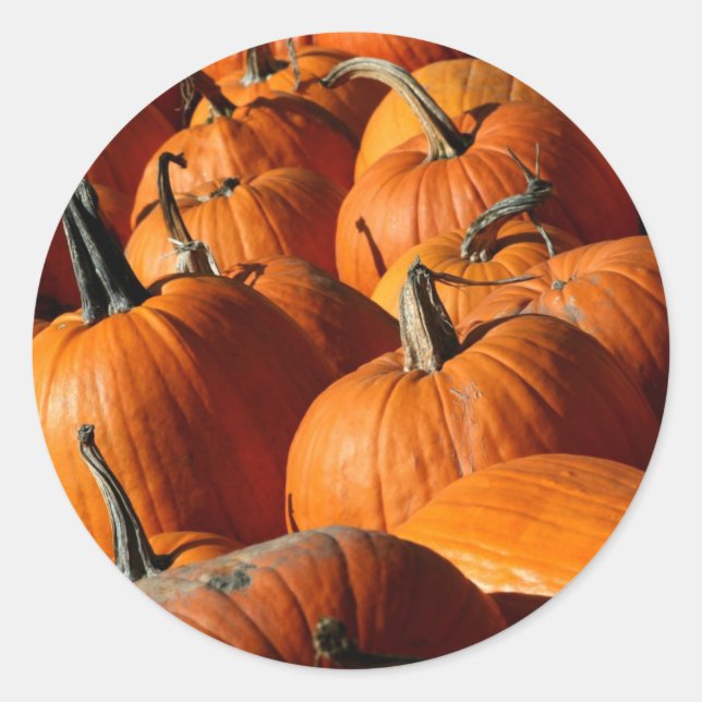 Pumpkins Sticker (Front)