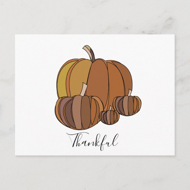 Pumpkins Thanksgiving  Postcard (Front)